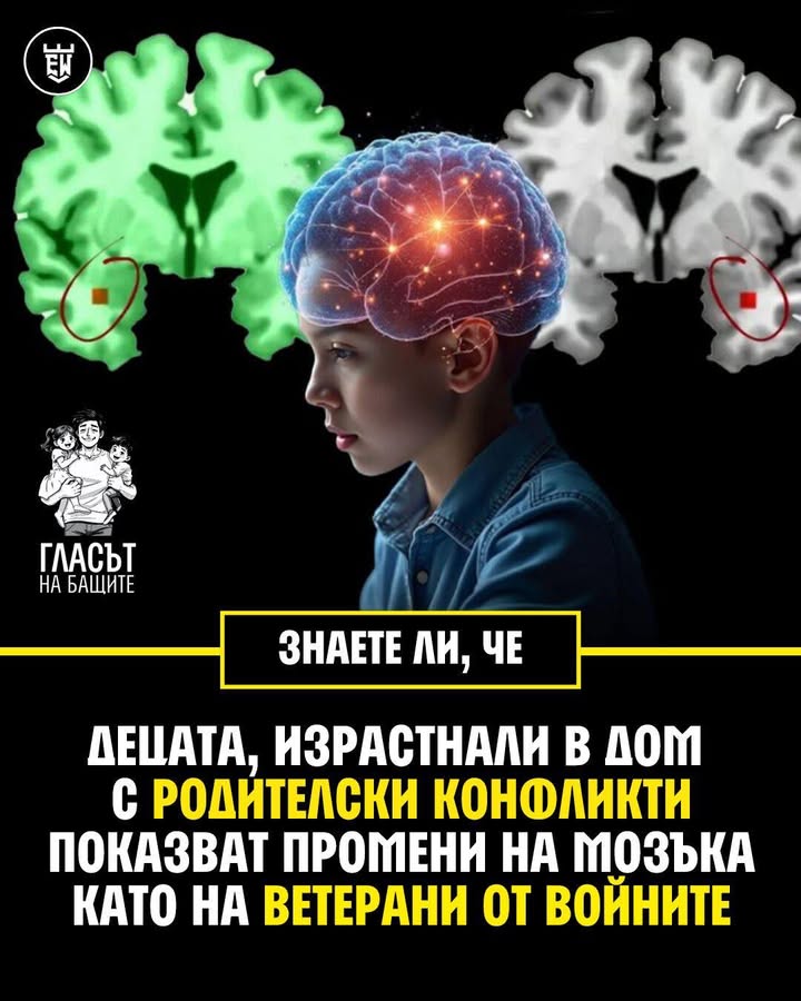 [FB 2025-09-04 19:29]